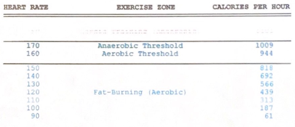VO2 max test results summary showing peak oxygen consumption and performance metrics